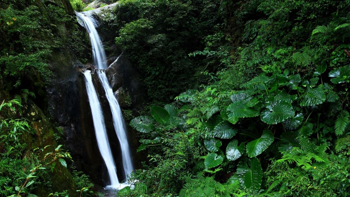 奧萬大國家森林遊樂區