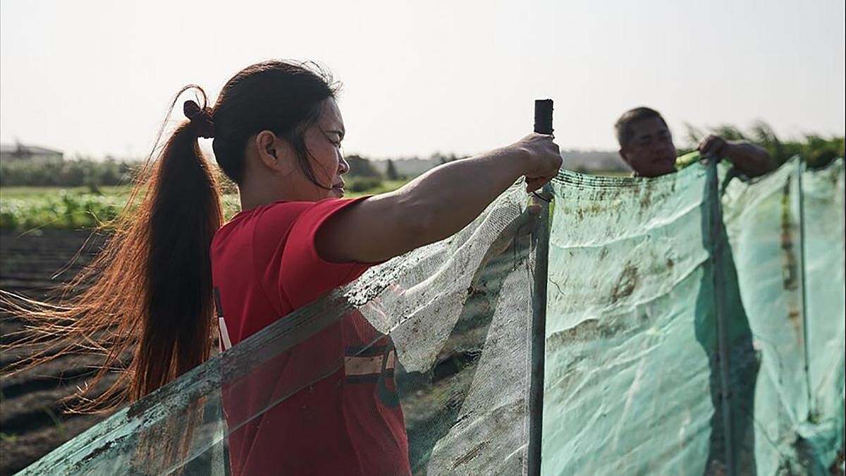 外籍新住民的宿命！《阿紫》2020台北電影節最佳紀錄片，真實記錄跨國婚姻與刻板印象