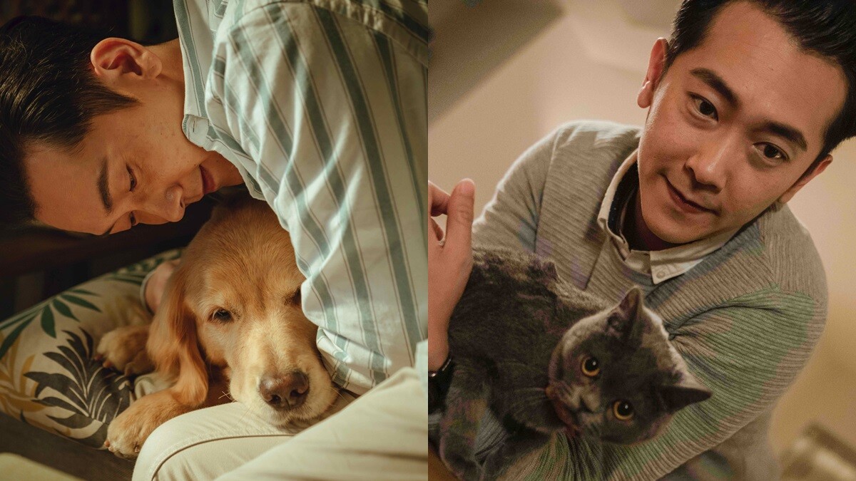 《黑喵知情》台灣首部「寵物溝通師」戲劇！施名帥：「被需要就是一種療癒，在毛小孩身上找到安慰。」