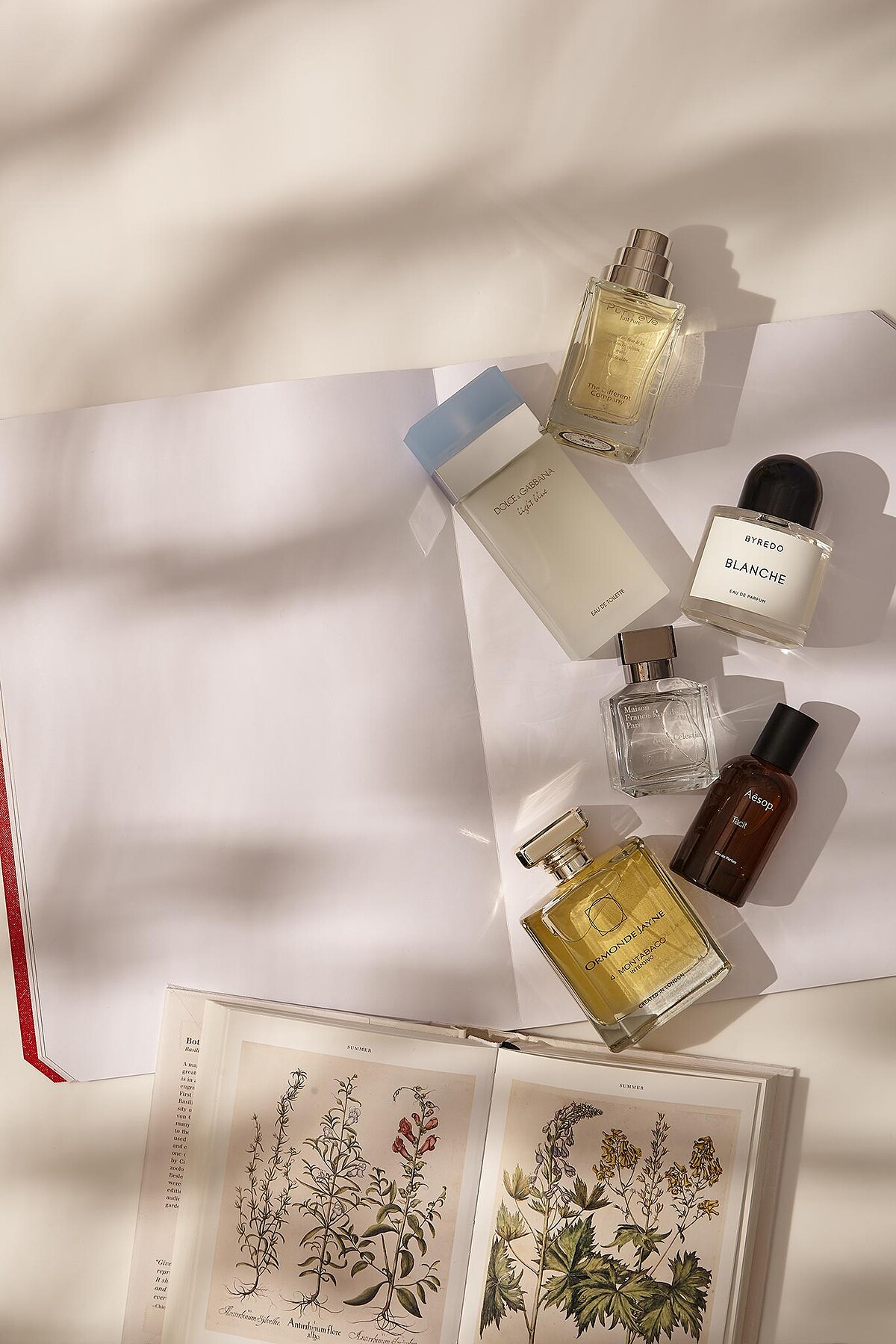 產品圖說： 1. The Different Company 凝萃純香，NT7,380。 2. Dolce & Gabbana 淺藍女性淡香水，NT3,300。 3. BYREDO 返樸歸真淡香精，NT7,000。 4. Maison Francis Kurkdjian Paris 天際之水，NT5,500。 5. Aesop 悟香水，NT3,500。 6. Ormonde Janye 四方境界不羈之煙，NT11,490。