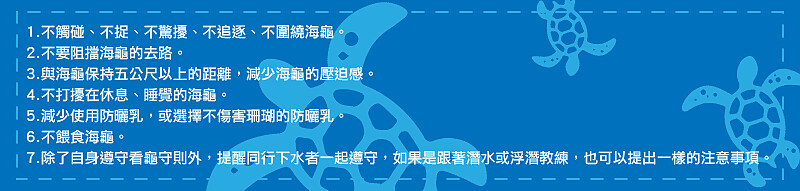 看龜守則。Source: Klook