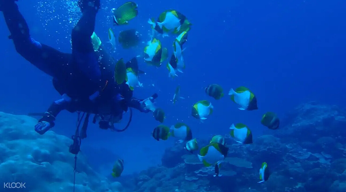 綠島潛水行程。Source：KLOOK