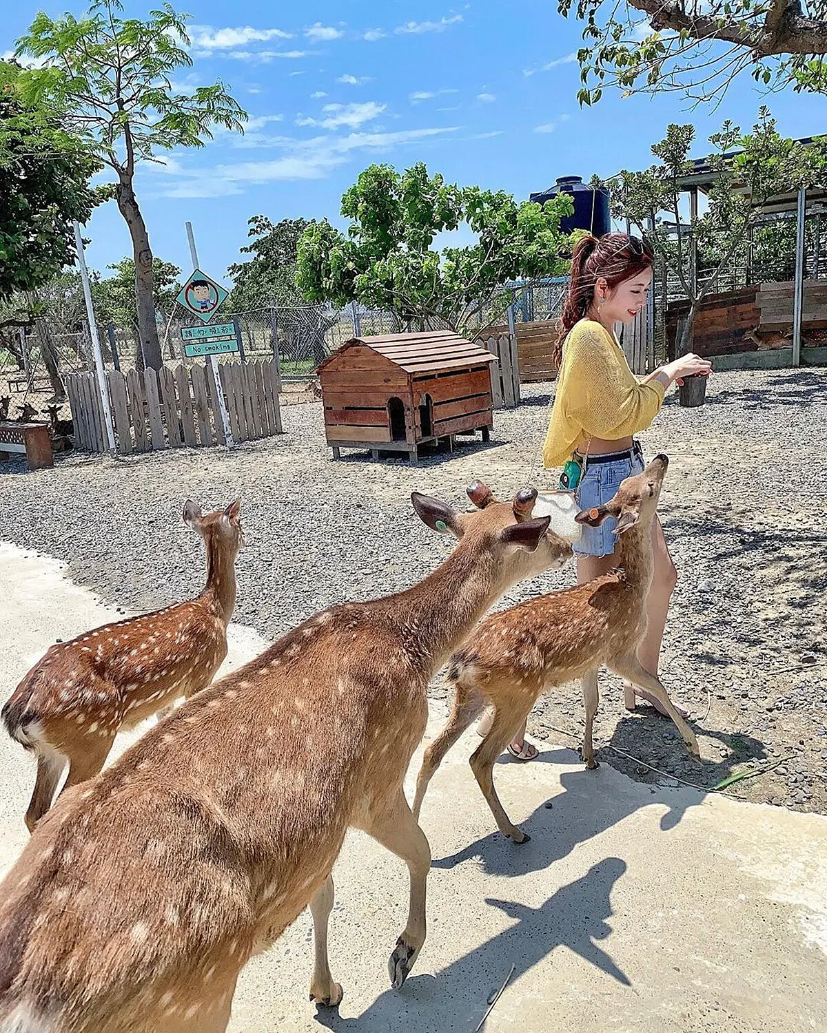 圖片來源：Instagram @hui3330805 授權KLOOK轉載