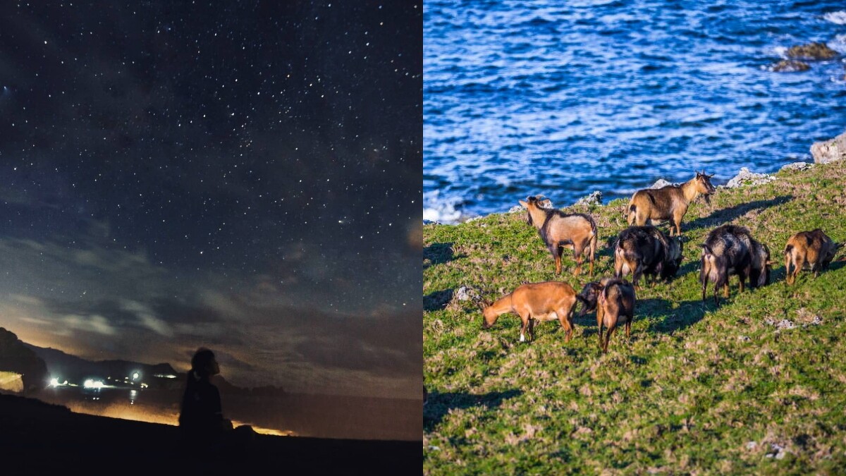 Photo／IG@hellocinyun、東部海岸國家風景區