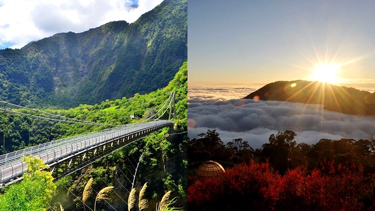 走進山林避暑去！盤點全台5大絕美自然園區，奇幻雲海包圍、大魯閣人氣新景點「山月吊橋」解放身心靈壓力