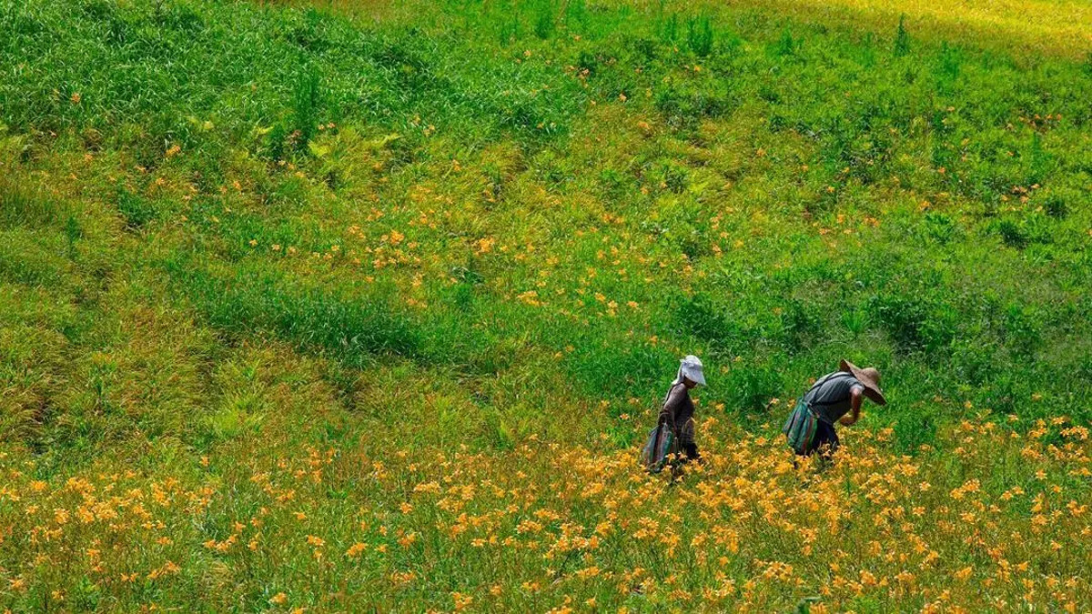 Source: Instagram @justin085671 授權KLOOK轉載