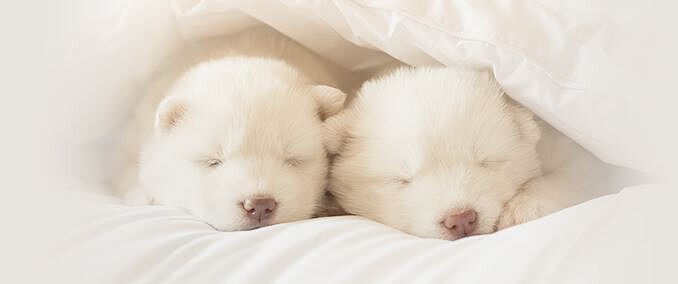 圖片來源:3M官網