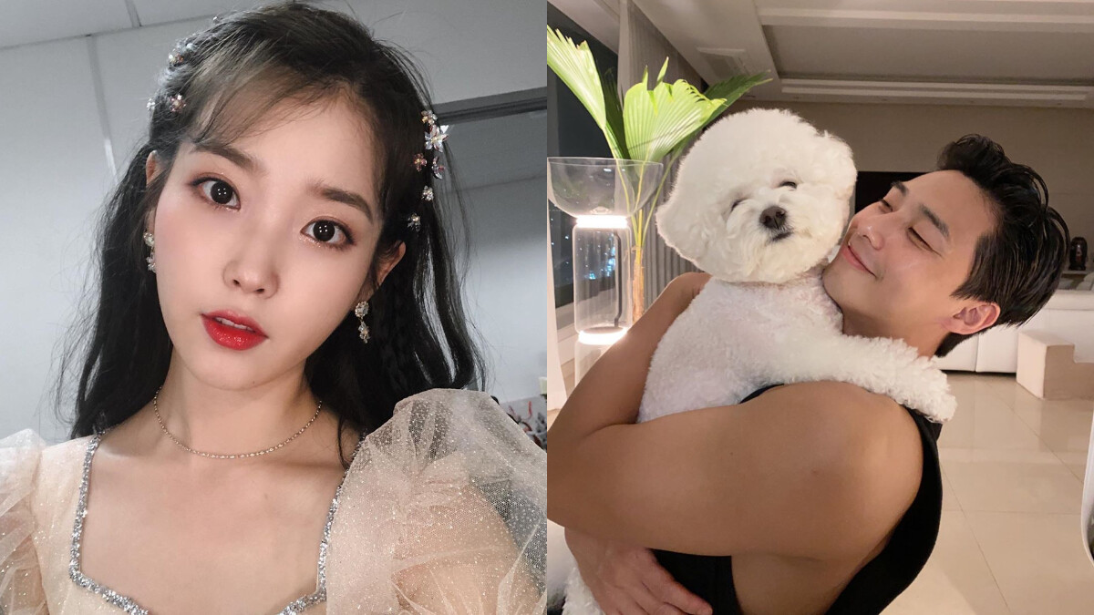 IU、朴敘俊、伯賢 都是超人氣YouTuber！更多日常秘密，大明星與粉絲零距離接觸