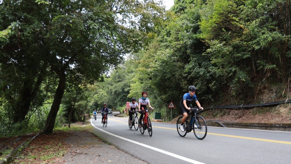 皆會有專業陪騎員帶領與壓隊