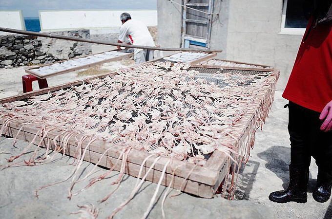 Source: IG @rotion87 授權KLOOK轉載