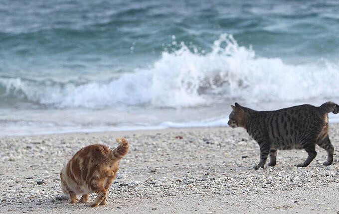 Source: IG @palin_pggy 授權KLOOK轉載