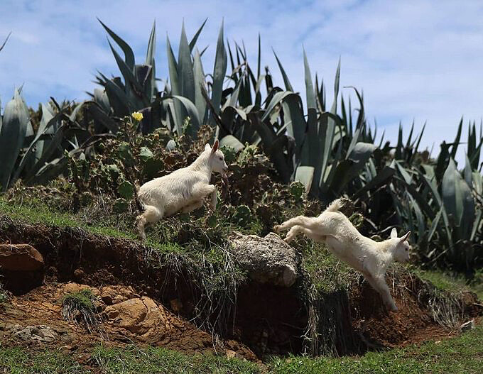 澎湖 虎井嶼Source: IG @yuchien_sung 授權KLOOK轉載
