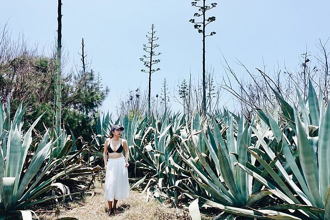 Source: IG @vvncvvnc 授權KLOOK轉載