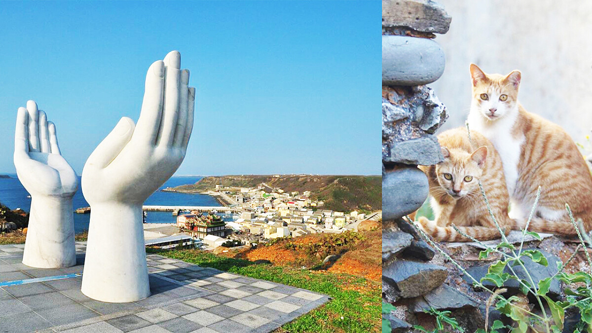 台灣也有座貓島！到澎湖虎井嶼尋訪貓咪與巨人之手的擁抱