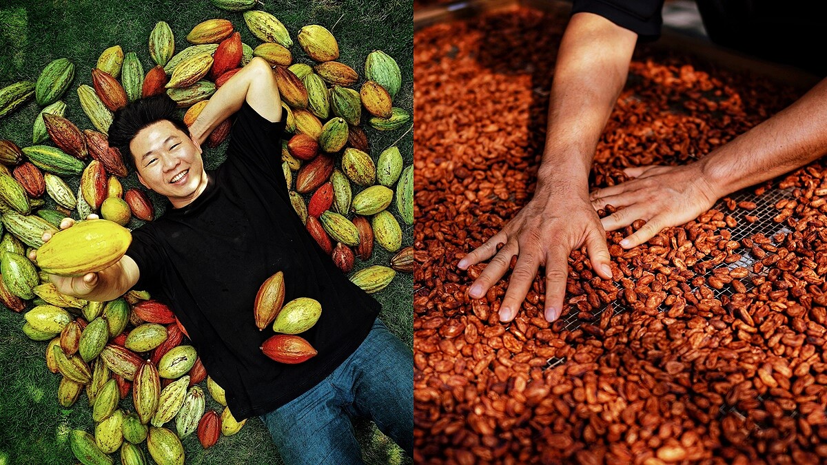 巧克力界的NASA!屏東福灣巧克力許華仁,「台灣有機會成為全世界巧克力的領頭羊。」