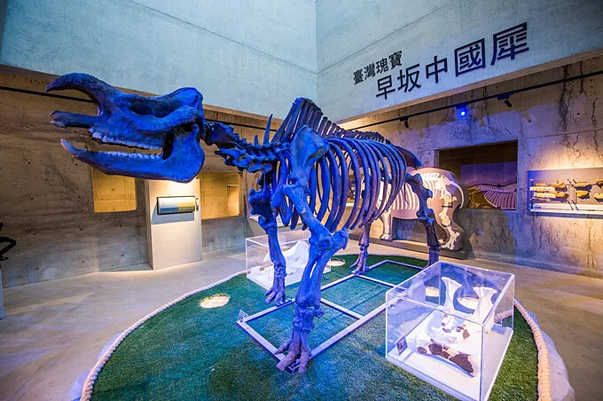 台南左鎮化石園區-演化的天空，見證地球生命演化之繁榮與衰落。Source: KLOOK