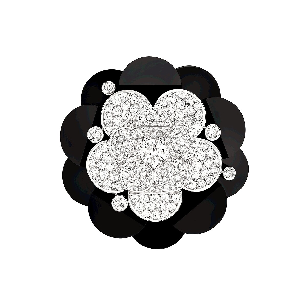 2014年 Cafe Society 系列作品