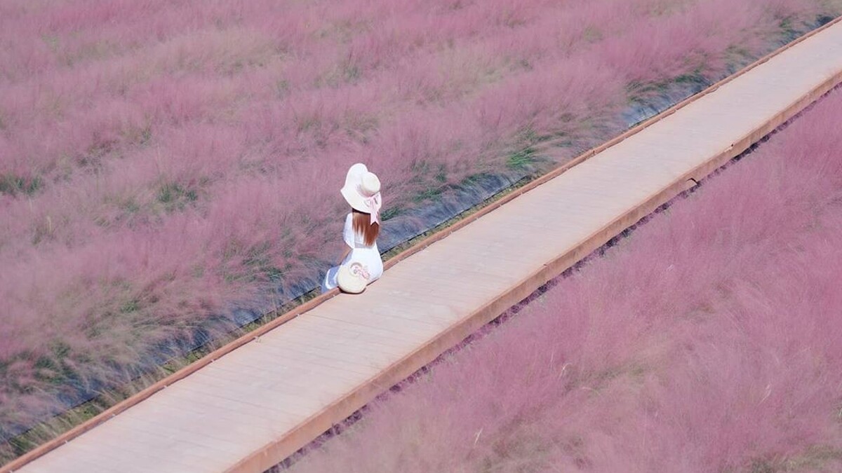 Photo／IG@3more_hi4授權提供