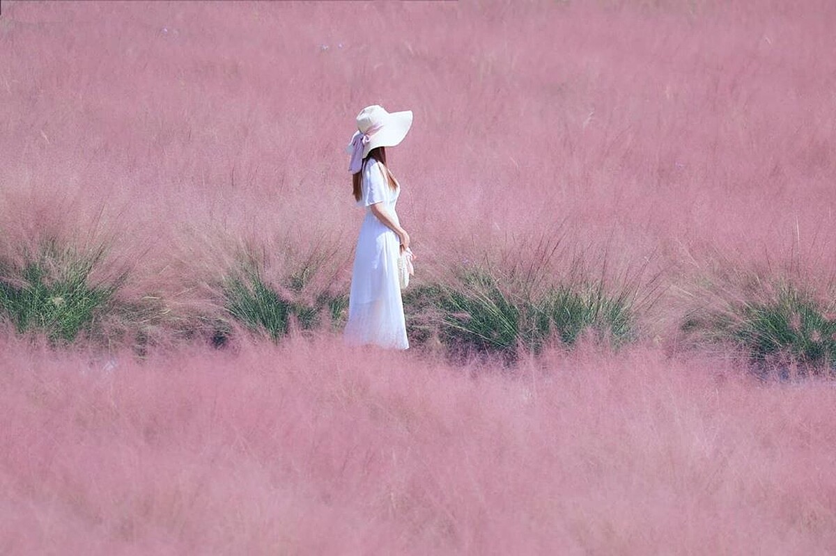 Photo／IG@3more_hi4授權提供