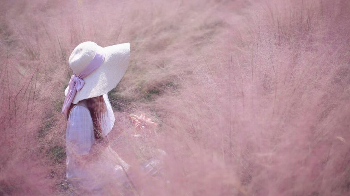 Photo／IG@3more_hi4授權提供