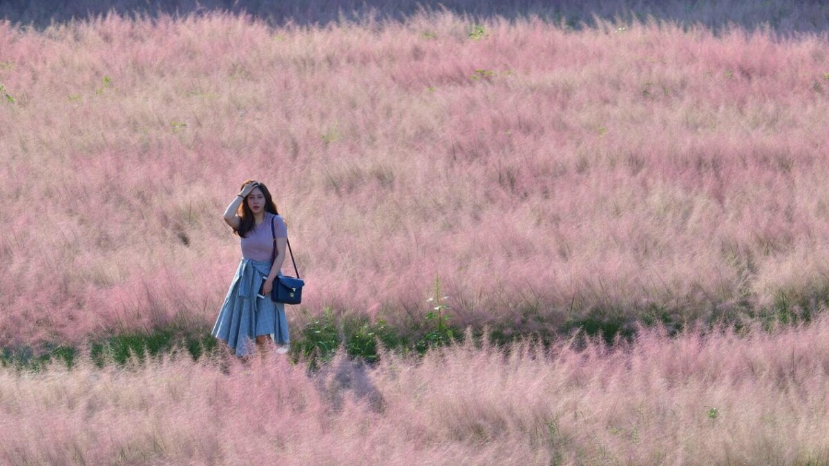 Photo／IG@3more_hi4授權提供