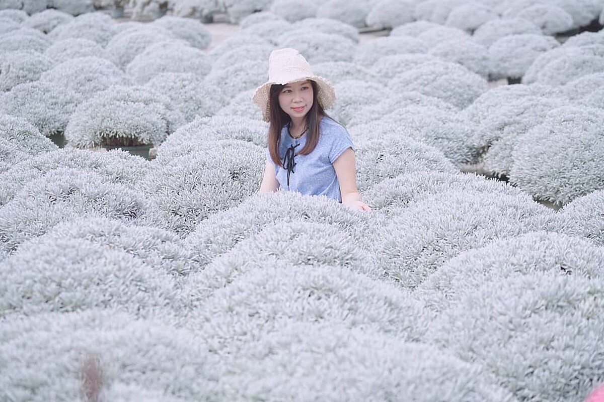 Photo／IG@shilinfan 授權提供