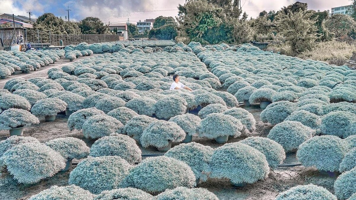 Photo／IG@beckhamhong66 授權提供