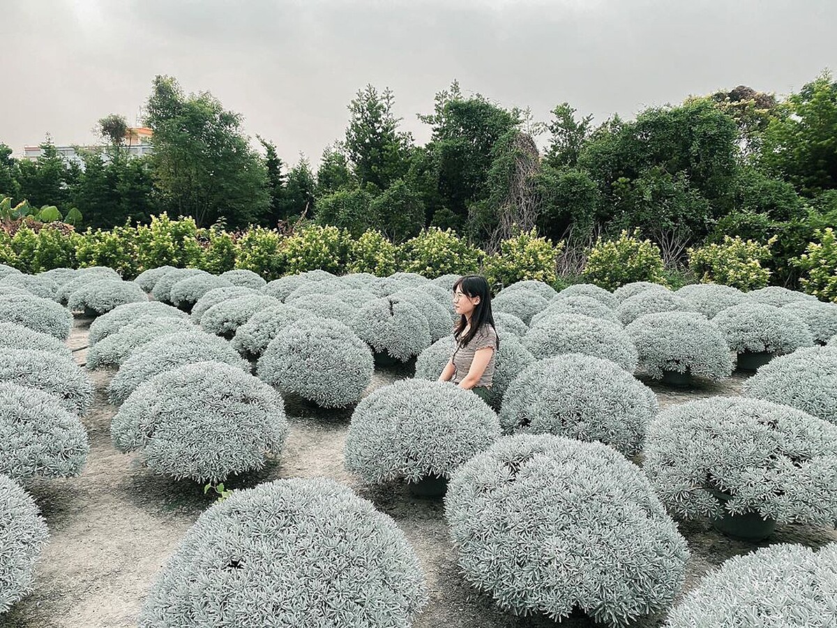 Photo／IG@molly_zz0129授權提供