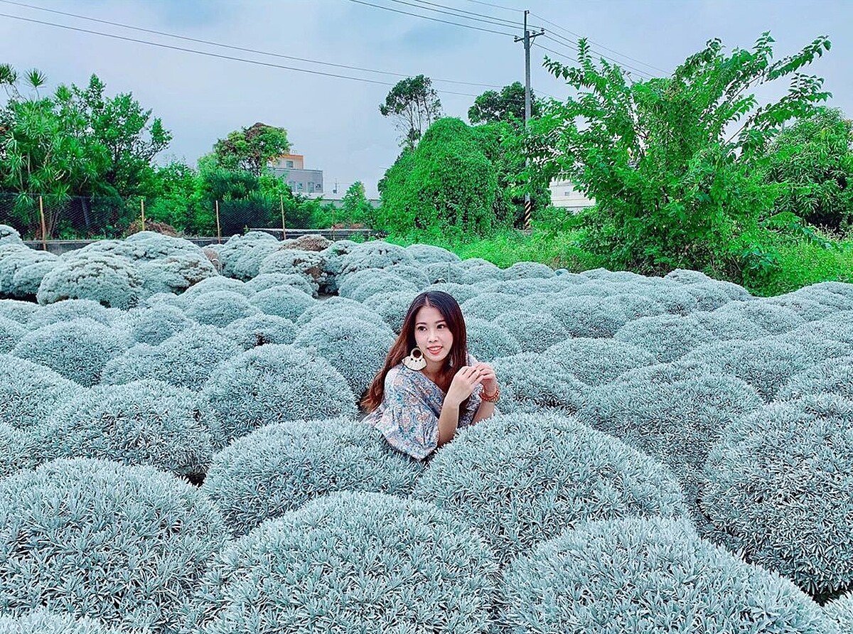 Photo／IG@linyuki17 授權提供