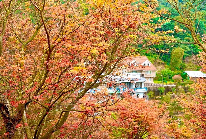 Source: IG @shuyu_travel_photo 授權KLOOK轉載