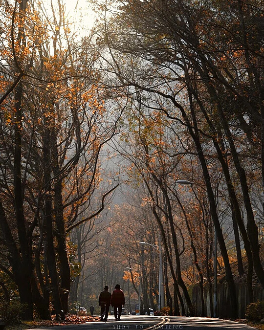 Source: IG @abcdea4671 授權KLOOK轉載