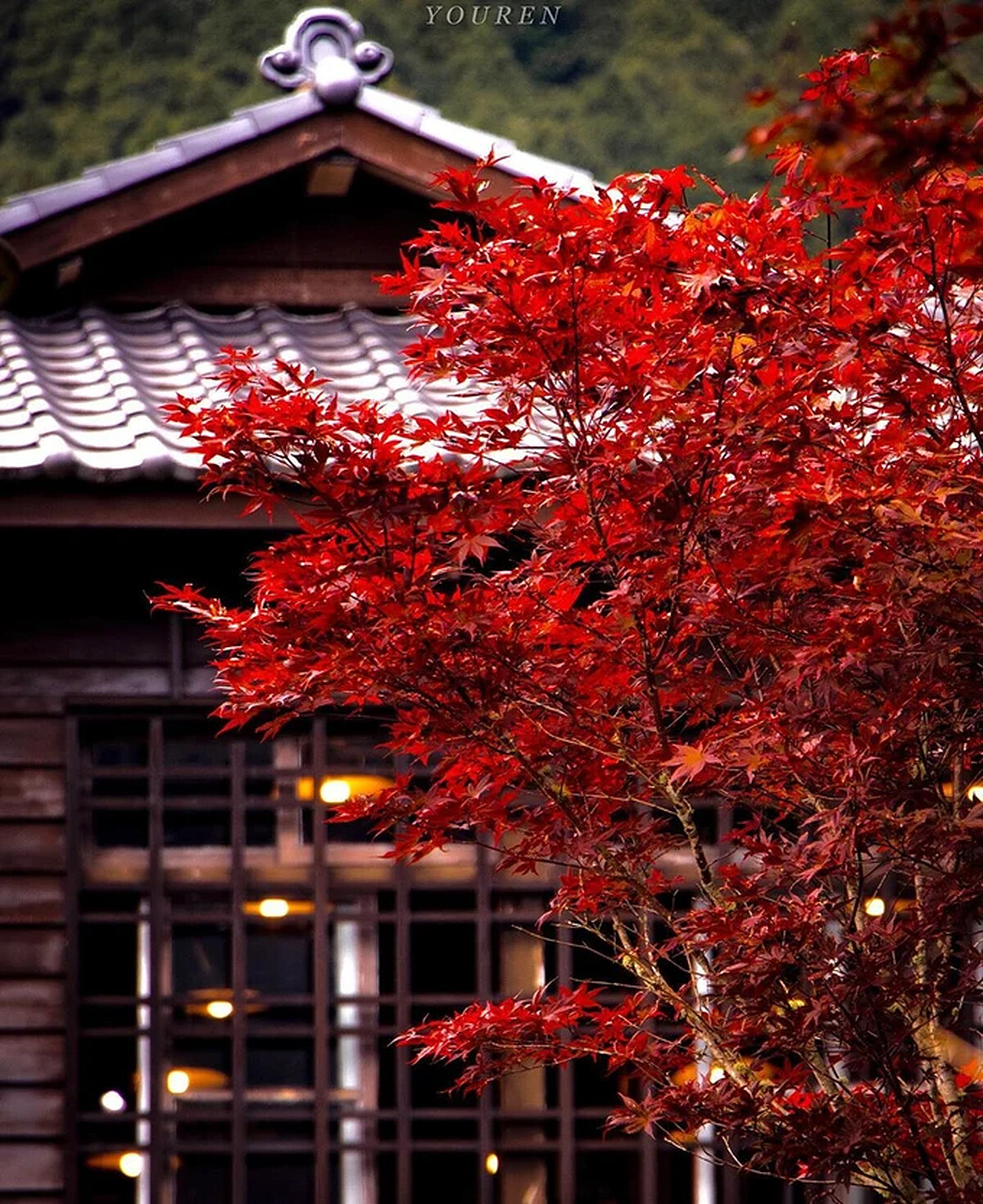 Source: IG @you_ren_58 授權KLOOK轉載