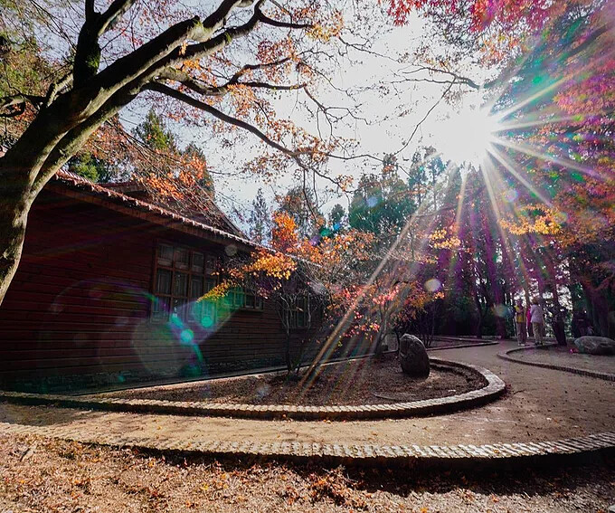 Source: IG @shadowjay 授權KLOOK轉載