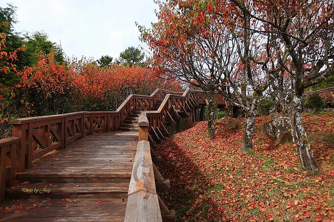 Source: IG @hsiehjoey 授權KLOOK轉載