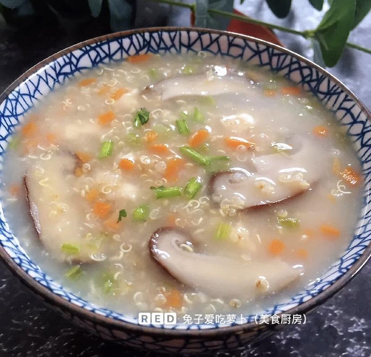 Photo/兔子爱吃萝卜@小紅書