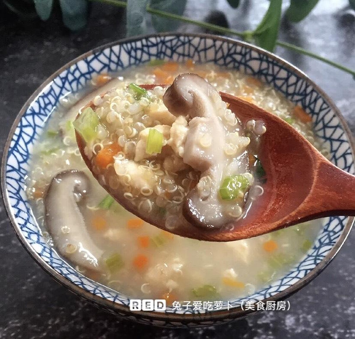 Photo/兔子爱吃萝卜@小紅書