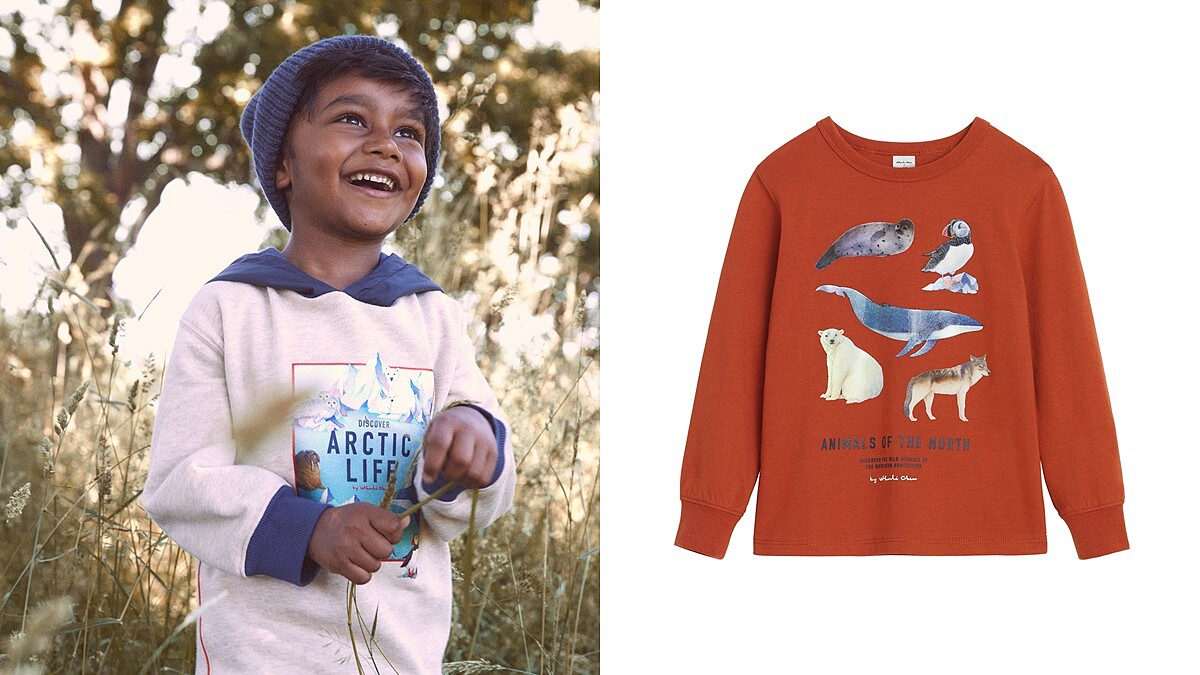 H&amp;M攜手台灣插畫家Whooli Chen推出萌趣動物童裝系列，海豹、鯨魚、北極熊實在太療癒
