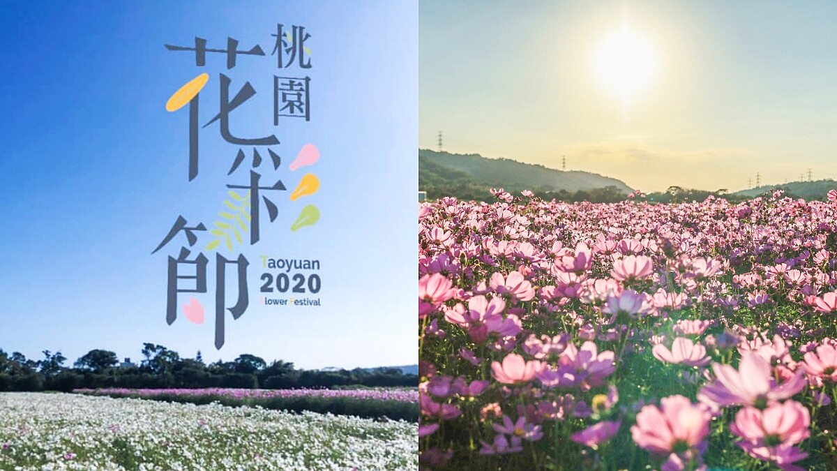 2020桃園花彩節三大展區接力綻放！繽紛花海、最新花況、夜宿花田等活動報名連結、展期懶人包