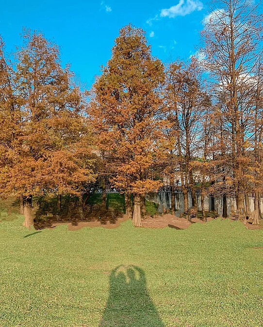 Source: IG @pie0604 授權KLOOK轉載