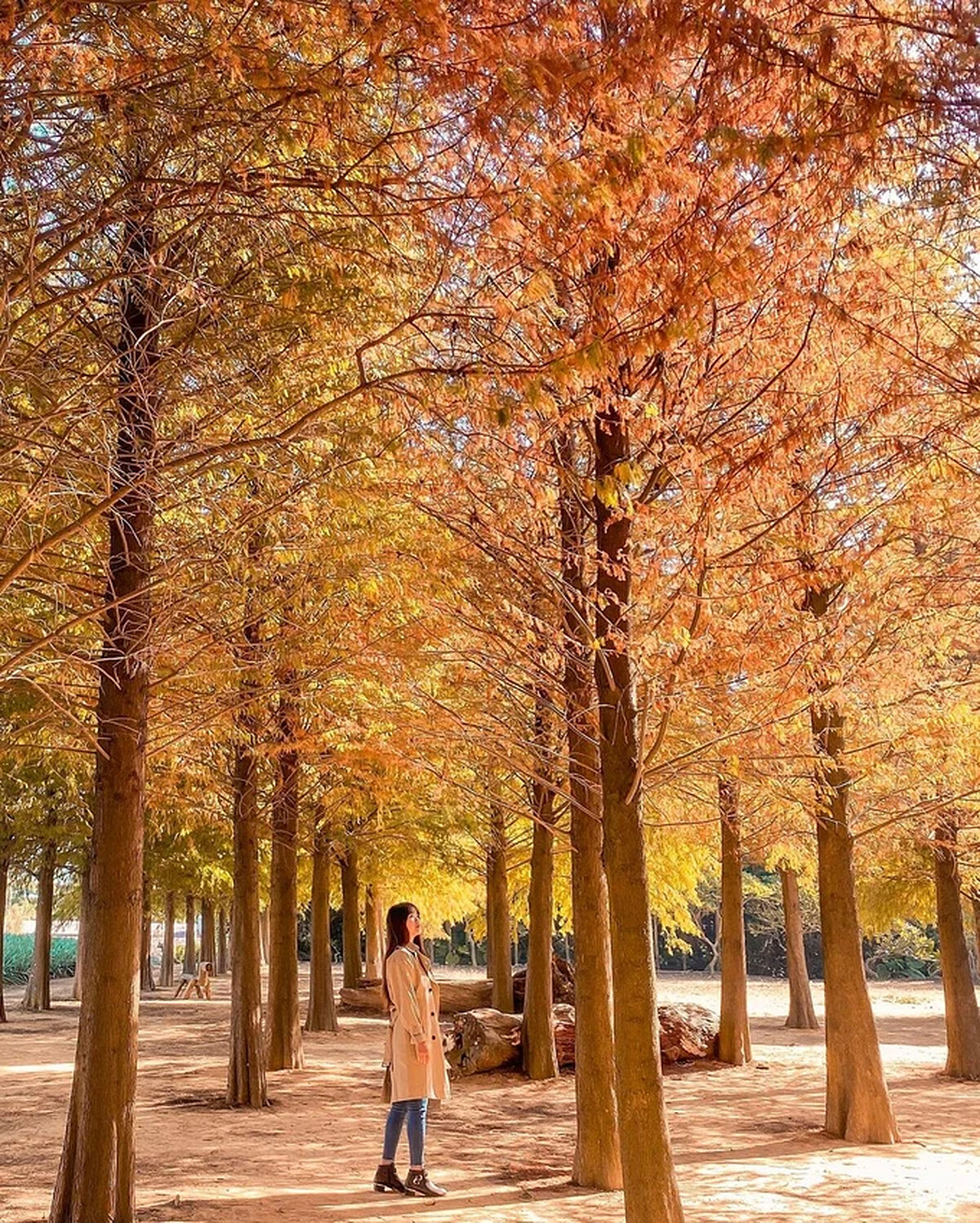 Source: IG @guiefei 授權KLOOK轉載