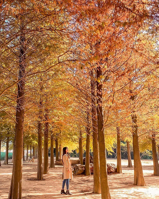 Source: IG @guiefei 授權KLOOK轉載