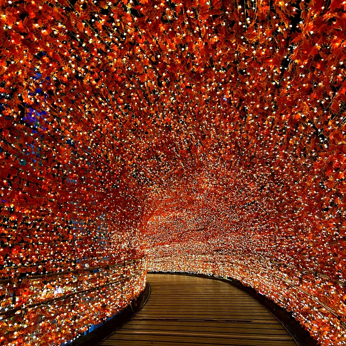 「香榭光廊」實拍