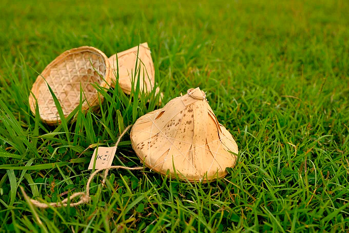 親眼看見每一粒米從農田到餐桌的過程。Source: KLOOK