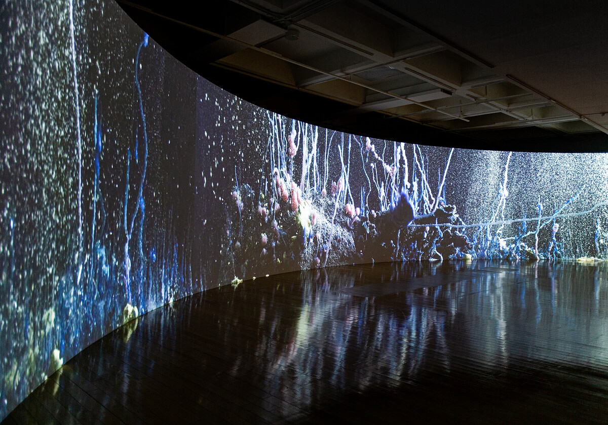 伊山．貝哈達，《預兆》，2020，錄像裝置，10分11秒。圖像由藝術家及臺北市立美術館提供。