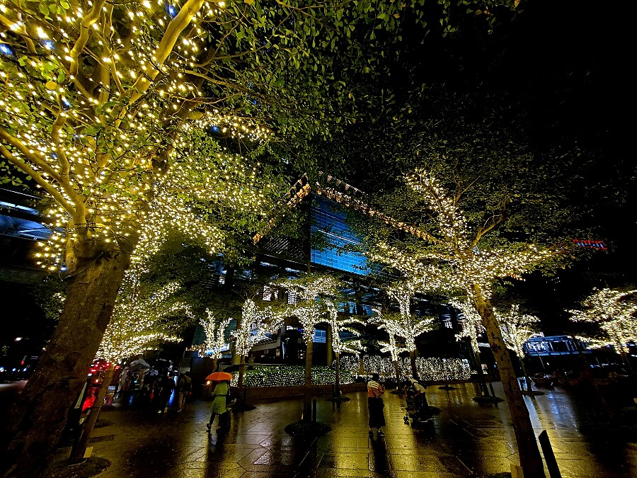 台北101耶誕燈海