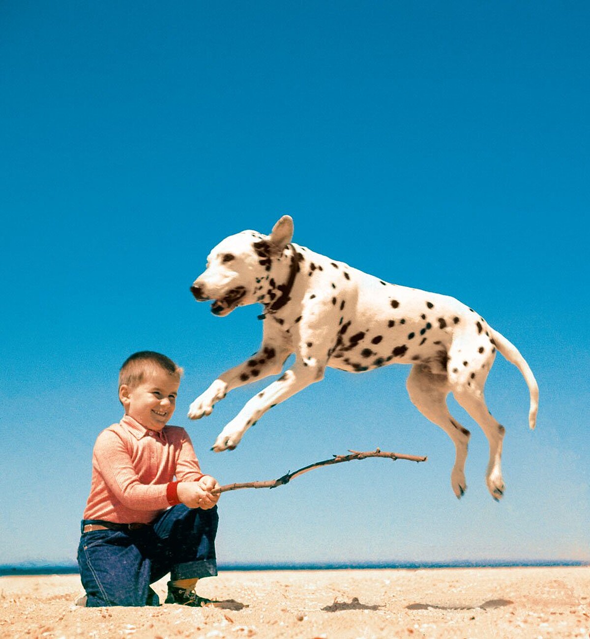 &copy;Estate of Walter Chandoha