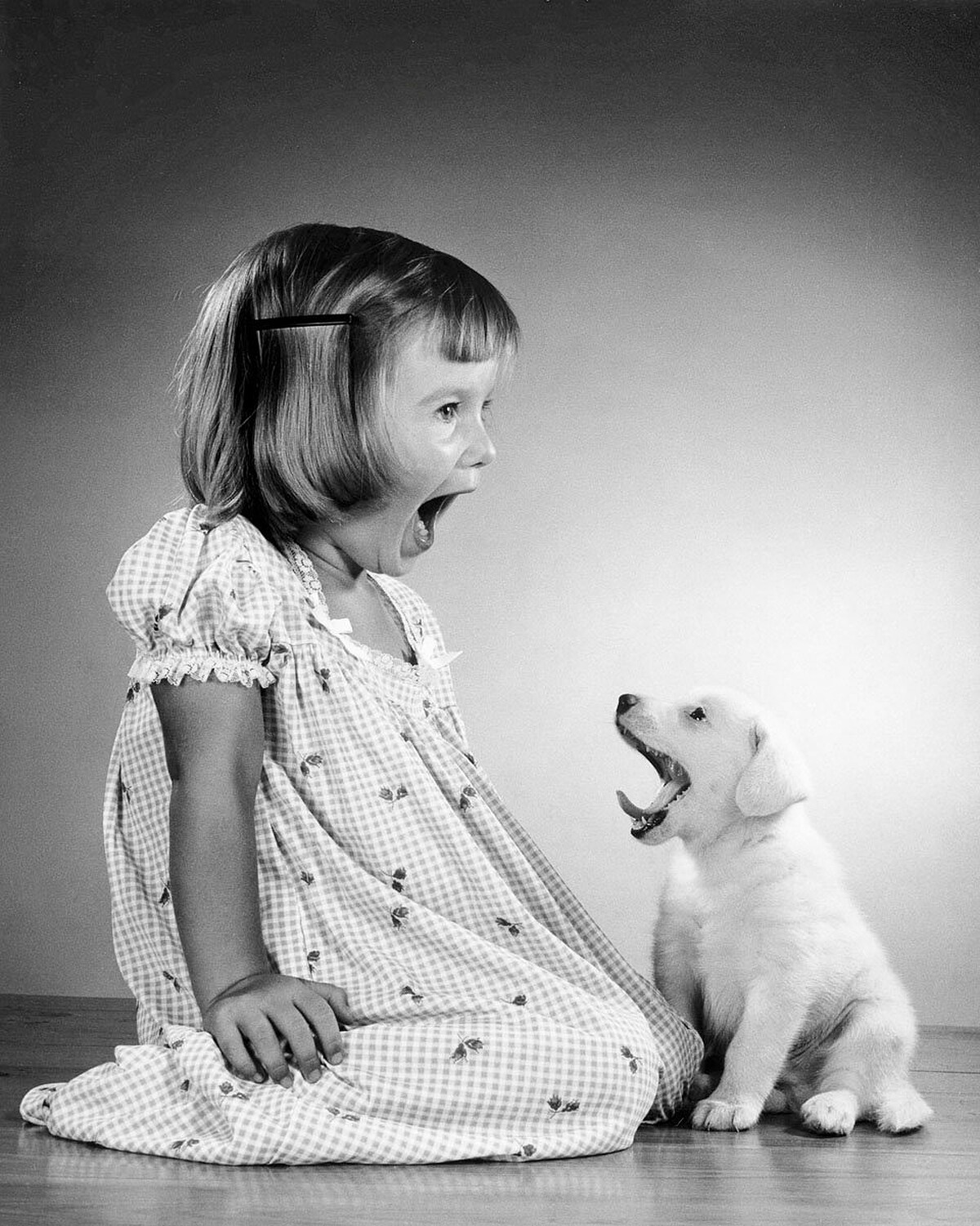 &copy;Estate of Walter Chandoha