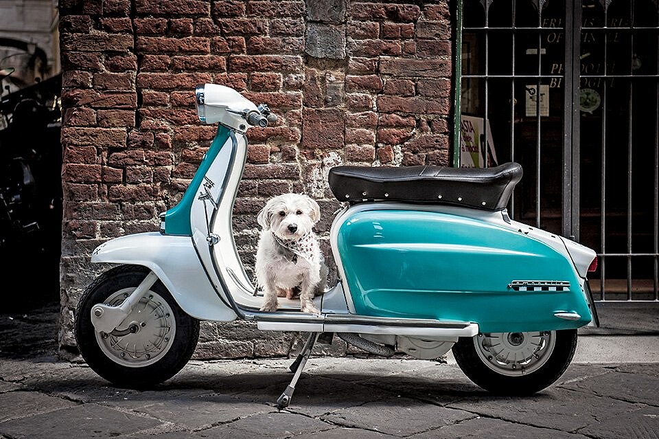 Elena Lusenti, 2016, Courtesy of the artist.