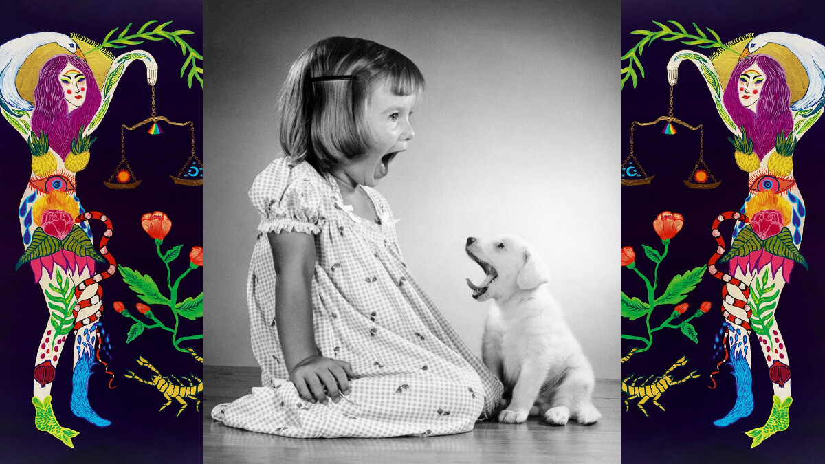 《美麗佳人》2021年度星座大預言：12星座工作運完整解析！