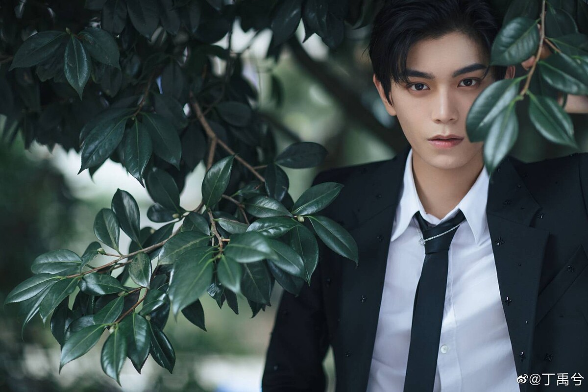 Photo/丁禹兮微博